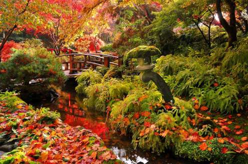 autumn-full-japanese-garden-bridge